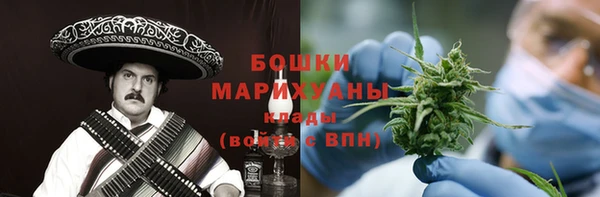 спайс Арсеньев